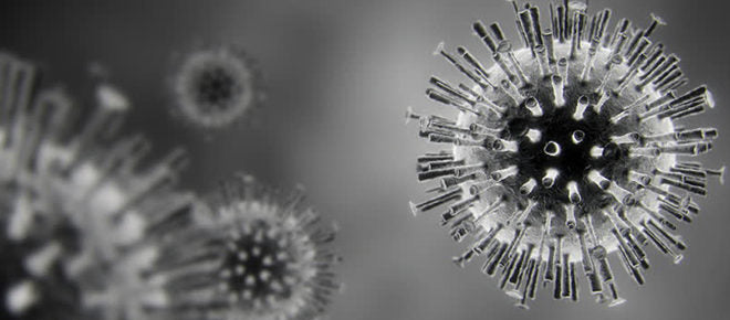 Coronavirus Update 17.03.20