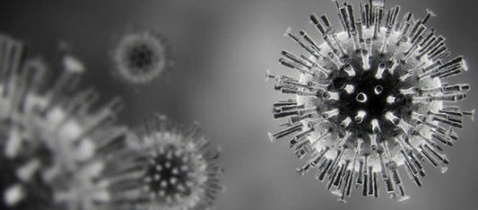 Coronavirus Update 17.03.20