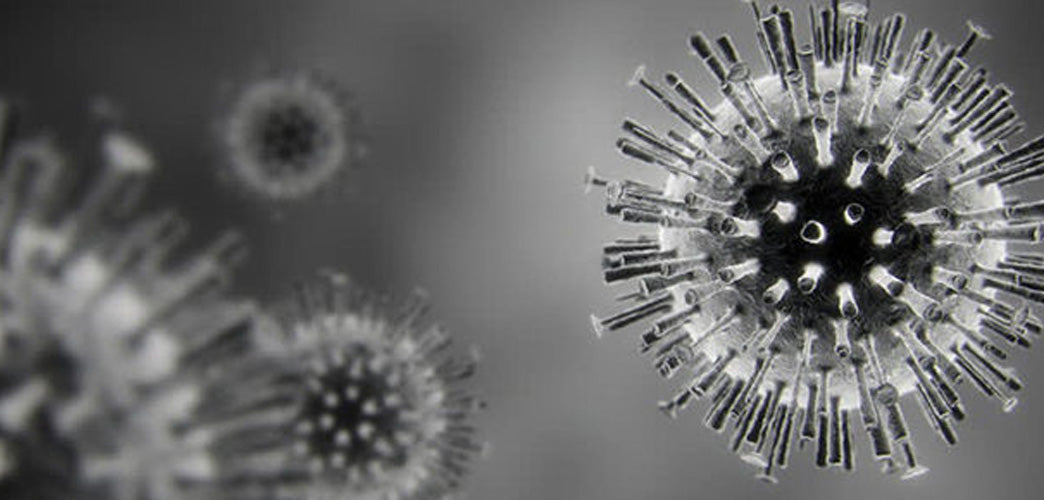 Coronavirus Update