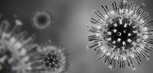 Coronavirus Update