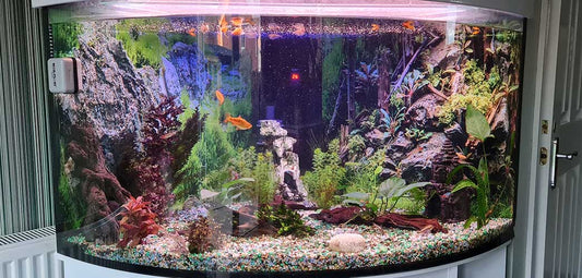 I Need Graphics For My Tank...