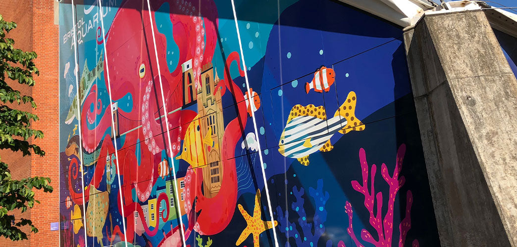 Window Mural Spectacular With Md5A-B & Mg-700